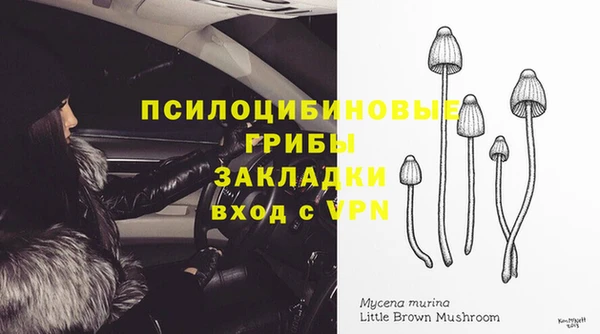 первитин Осинники