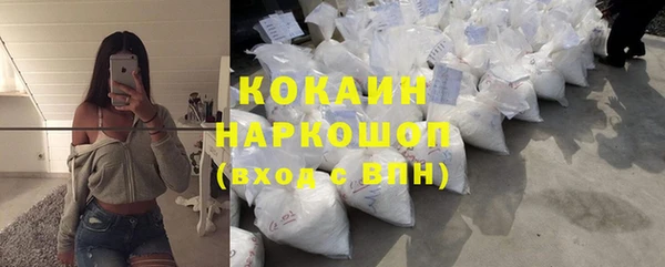 дживик Пересвет