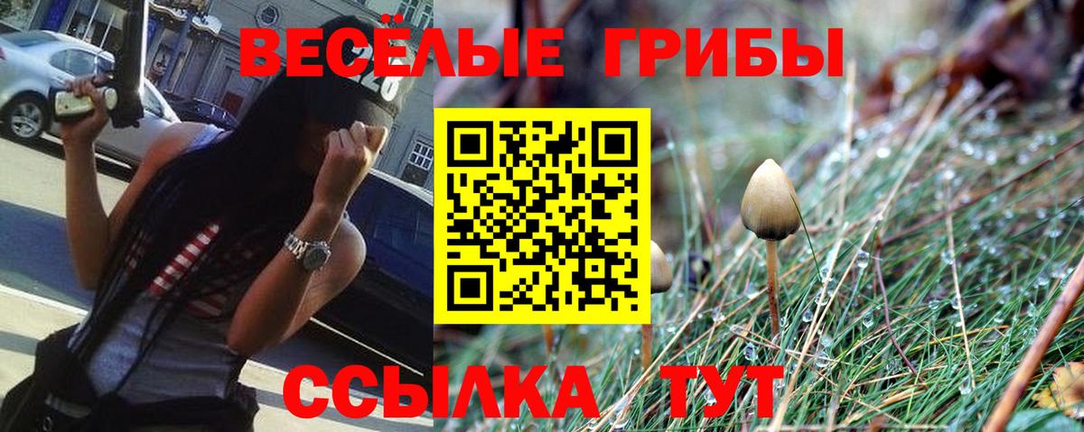 Псилоцибиновые грибы мухоморы Владикавказ