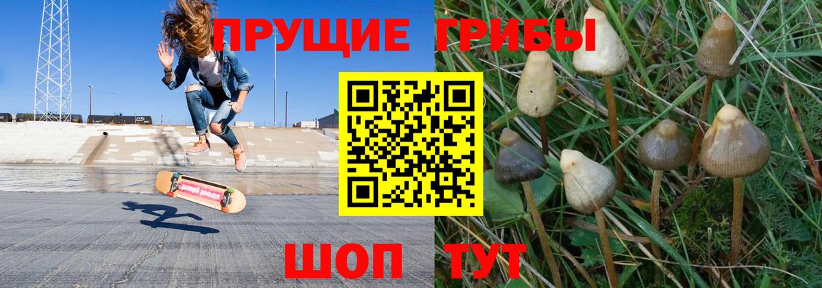 Псилоцибиновые грибы ЛСД Владикавказ