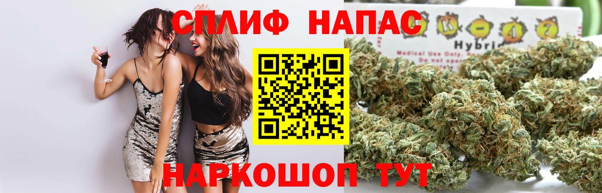 Конопля сатива  Конопля White Widow  Владикавказ 